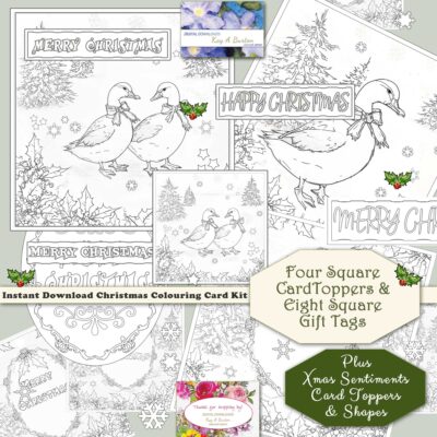 Christmas Geese Colouring In Card Toppers-Tags & Xmas Sentiments Instant Download Card Making
