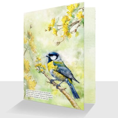 Great Tit Greeting Card Watercolour - Birthday or Blank Inside Option
